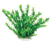 Aquatop Aquatic Supplies Green Anacharis Like Aquarium Plant