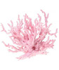 Penn-Plax Pink & White Stag Deco-Coral