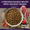 Taste Of The Wild Ancient Mountain Dog Food