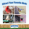 Backyard Seeds Sunflower Blend Bird Seed