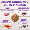 Wellness Complete Health Grain Free Healthy Indulgence Shreds with Skipjack Tuna & Shrimp Wet Cat Food, 3 Oz.