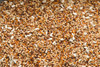 Purgrain Candy 16.2% Pigeon Feed