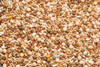 Purgrain Breeder/Conditioner 16% No Corn Pigeon Feed, 50 Lbs.