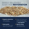 A promotional graphic for Cavalor Mash & Mix showing a close-up background of mixed mash grains above a navy blue panel highlighting key product features: rehydration support after training or competition, quick soaking for an easy-to-chew meal, flaked/puffed cereals and dried vegetables for easy digestion, and ideal compatibility for mixing with electrolytes and supplements.