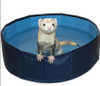 Marshall Ferret Swimming Pool