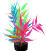 Color Burst Florals Needle Leaf Plant