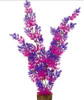Glofish Purple/Pink Plant, XL