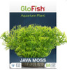 Glofish Java Moss Aquarium Plant, MD.