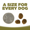 NutriSource Grain Free Small Bites Chicken & Pea Recipe Dry Dog Food