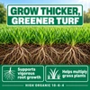 High Organic 10-6-4 fertilizer graphic showing thick green grass and roots, with text highlighting vigorous root growth and more grass plants.