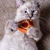 Multipet Pizza W/Catnip Cat Toy, Assorted