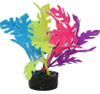 ColorBurst Florals Philo Glow Leaf Plant