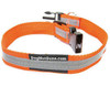 Dog Not Gone Reflective Dog Collar, Orange