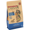 Carna4 Synthetic & Grain Free Chicken Formula Dry Cat Food