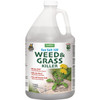 Harris Sea Salt 10X Vinegar Weed & Grass Killer 1 Gallon