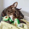 FuzzYard Avocatos on a String Catnip Cat Toy