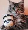 FuzzYard Kittyccino with String Cat Toy