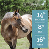 Nutrena SafeChoice Senior Molasses-Free Horse Feed, 50 lbs