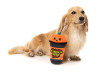 FuzzYard Peek-A-Boo Pumpkin Spice Latte Plush Dog Toy