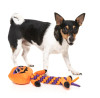 FuzzYard Gourdan Ramsay Dog Toy