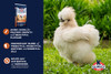 Kalmbach Full Plume Feathering Mini Pellet Chicken Feed, 50lbs