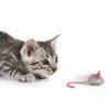SmartyKat Marble Mouse Rolling Cat Toy