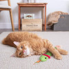 SmartyKat Crinkle Creeper Kicker Catnip-Packed Cat Toy