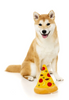 FuzzYard Pizza Plush Dog Toy