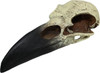 Komodo Raven Skull Reptile Tank Ornament