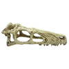 Komodo Raptor Skull Tank Decor