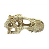Komodo T-Rex Skull Tank Decor