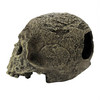 Komodo Textured Human Skull Tank Decor