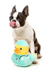 FuzzYard Ducktor Dog Toy