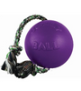 Jolly Pets Romp-N-Roll Ball Purple