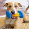 KONG Rambler Rattlez Dumbbell Dog Toy