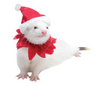 Marshall Ferret Holiday Santa Suit Costume