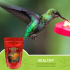 Naturally Fresh Hummingbird Powder Nectar with Feeder Fresh Nectar Defender
