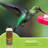 Naturally Fresh Hummingbird Liquid Nectar Concentrate with Nectar Defender