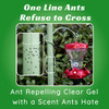 Nectar Fortress Natural Ant Repellent