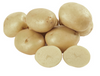 American Seed Company Seed Potato 5lb bag