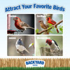 Backyard Seeds Songbird Blend Bird Seed Bagel 7oz