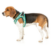 FuzzYard Bananarama Step-in Harness