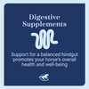 SmartEquine GUT Paste, 60cc