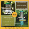 Hanging Classic Bird Feeder with Baffle Weather Guard 12in.