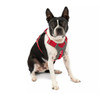 Kurgo® Journey Air Dog Harness, Red/Gray