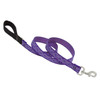 Lupine Pet Dog 6ft Leash - Jelly Roll