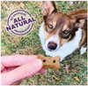 Old Mother Hubbard Wellness Pick of the Patch Dog Biscuits, Pumpkin & Carrot Flavor, Mini, 16oz.