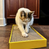 Turbo by Coastal - Rectangle Cat Scratcher Turbo by Coastal - Rectangle Cat Scratcher