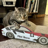 Turbo by Coastal - Race Car Cat Scratcher
