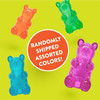 SpunkyPup Spunky Bear Squeaky Toy, Assorted Colors